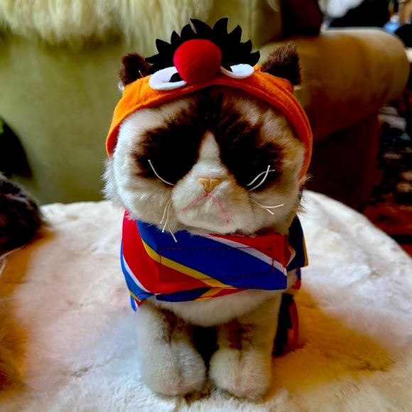 Other - Pet Halloween costume “Ernie”